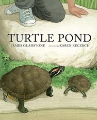 Produktbild: Turtle Pond