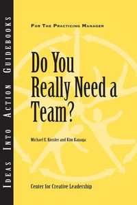 Produktbild: Do You Really Need a Team?