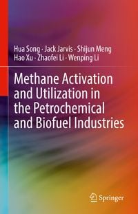 Produktbild: Methane Activation and Utilization in the Petrochemical and Biofuel Industries