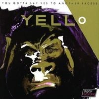 Produktbild: You Gotta Say Yes To Another Excess (2005)