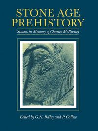 Produktbild: Stone Age Prehistory