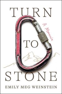 Produktbild: Turn to Stone