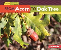Produktbild: From Acorn to Oak Tree