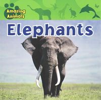 Produktbild: Elephants