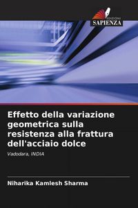 Produktbild: Effetto della variazione geometrica sulla resistenza alla frattura dell'acciaio dolce