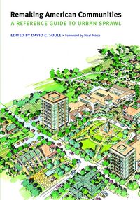 Produktbild: Remaking American Communities