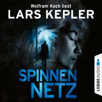 Spinnennetz von Lars Kepler