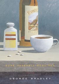 Produktbild: Some Assembly Required