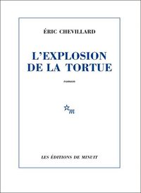 Produktbild: L'explosion de la tortue