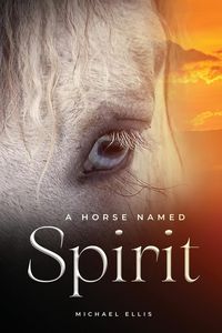 Produktbild: A Horse Named Spirit