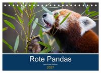 Produktbild: Rote Pandas - geschickte Kletterer (Tischkalender 2027 DIN A5 quer), CALVENDO Monatskalender