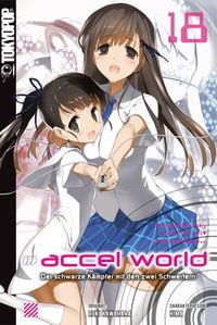 Produktbild: Accel World - Novel 18