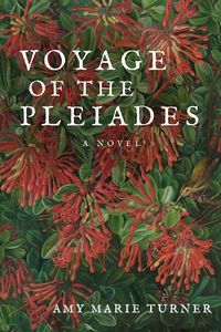 Produktbild: Voyage of the Pleiades