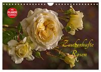 Produktbild: Zauberhafte Rosen (Wandkalender 2027 DIN A4 quer), CALVENDO Monatskalender