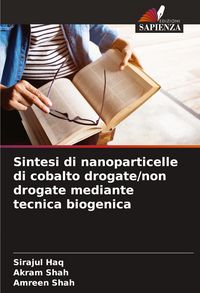 Produktbild: Sintesi di nanoparticelle di cobalto drogate/non drogate mediante tecnica biogenica