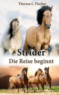 Produktbild: Strider