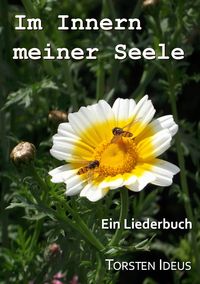 Produktbild: Im Innern meiner Seele