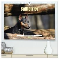 Produktbild: Bullterrier, liebenswerte Sturk&ouml;pfe (hochwertiger Premium Wandkalender 2026 DIN A2 quer), Kunstdruck in Hochglanz