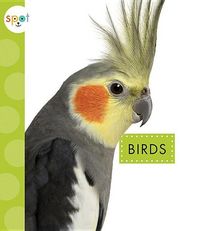 Produktbild: Birds