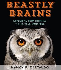 Produktbild: Beastly Brains