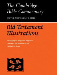 Produktbild: Old Testament Illustrations