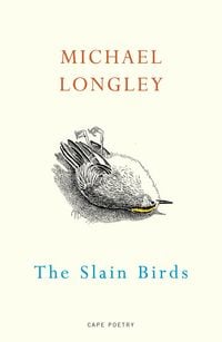 Produktbild: The Slain Birds