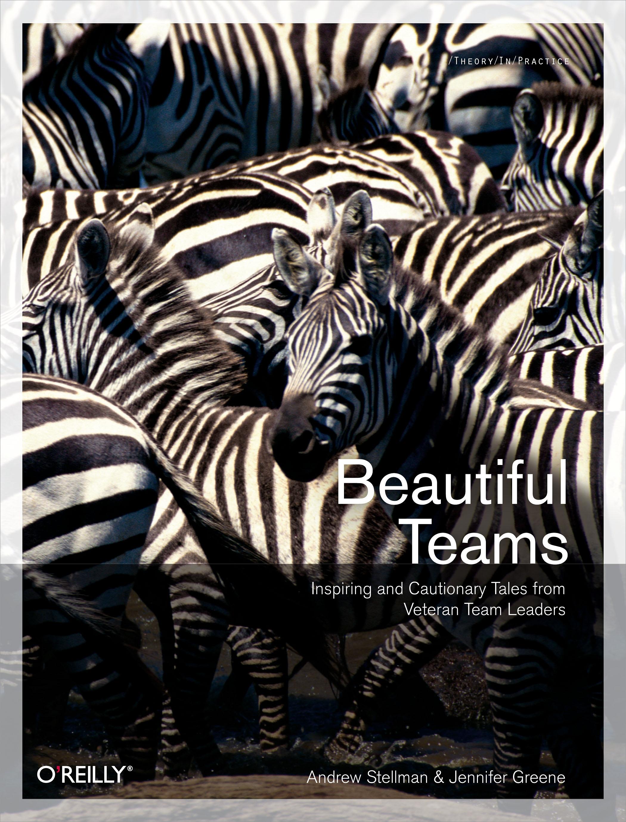 Produktbild: Beautiful Teams