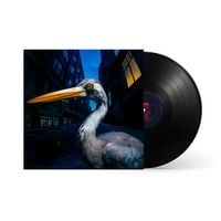 Produktbild: Decoding Birdsong