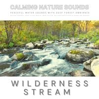 Produktbild: Peaceful Water Sounds With Deep Forest Ambiance: Wilderness Stream & Babbling Brook