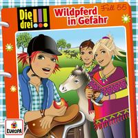 Produktbild: Fall 55: Wildpferd in Gefahr