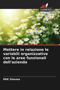 Produktbild: Mettere in relazione le variabili organizzative con le aree funzionali dell'azienda