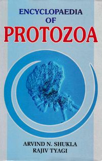 Produktbild: Encyclopaedia of Protozoa (Life of Protozoa)
