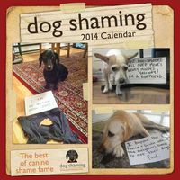 Produktbild: Dog Shaming Calendar