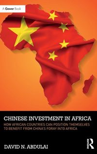 Produktbild: Chinese Investment in Africa
