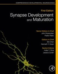 Produktbild: Synapse Development and Maturation