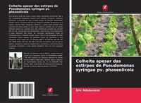 Produktbild: Colheita apesar das estirpes de Pseudomonas syringae pv. phaseolicola