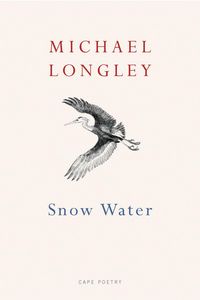 Produktbild: Snow Water