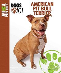 Produktbild: Amer Pit Bull Terrier