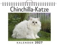 Produktbild: Chinchilla-Katze