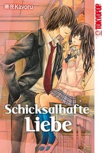 Produktbild: Schicksalhafte Liebe