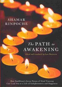 Produktbild: The Path to Awakening