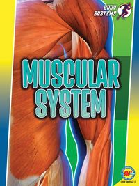 Produktbild: Muscular System