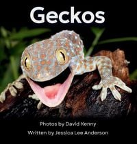 Produktbild: Geckos