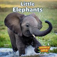 Produktbild: Little Elephants