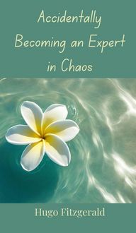 Produktbild: Accidentally Becoming an Expert in Chaos