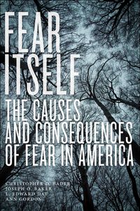 Produktbild: Fear Itself