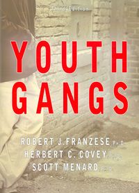 Produktbild: Youth Gangs