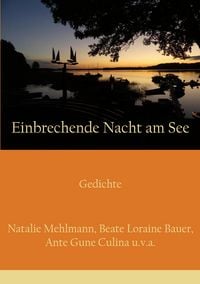 Produktbild: Einbrechende Nacht am See