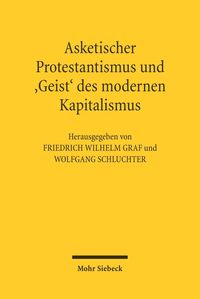 Bild vom Artikel Asketischer Protestantismus und der 'Geist' des modernen Kapitalismus vom Autor Wolfgang Schluchter