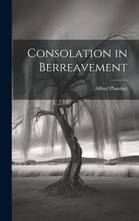 Produktbild: Consolation in Berreavement